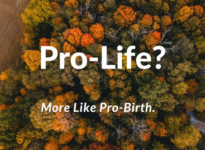 “Pro-Life? More Like Pro-Birth.”